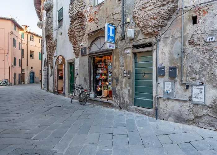 Il Mazzocchio - Centro *